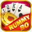 colour rummy icon