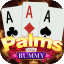 play indian rummy online logo