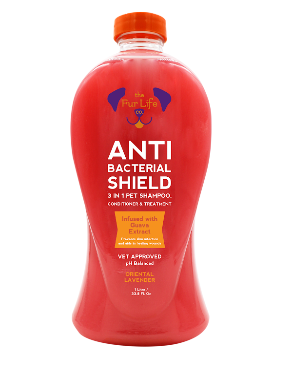ANTI BACTERIAL SHIELD 3 IN 1 SHAMPOO 1 Liter