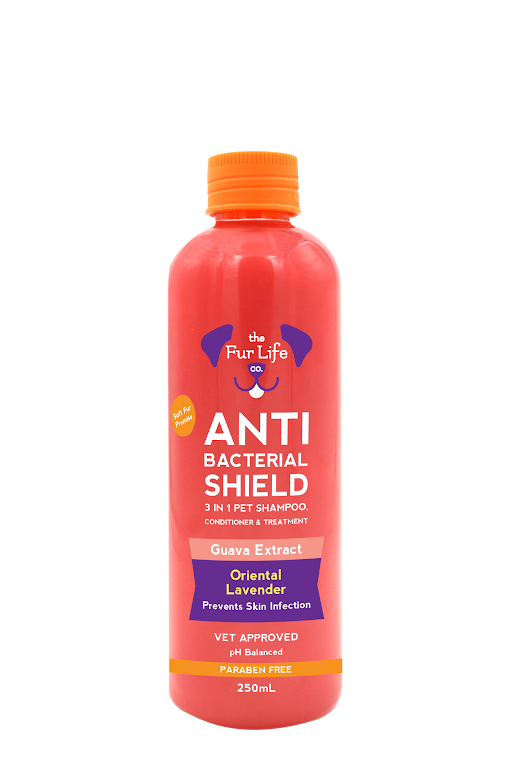 ANTI BACTERIAL SHIELD 3 IN 1 SHAMPOO 250ml