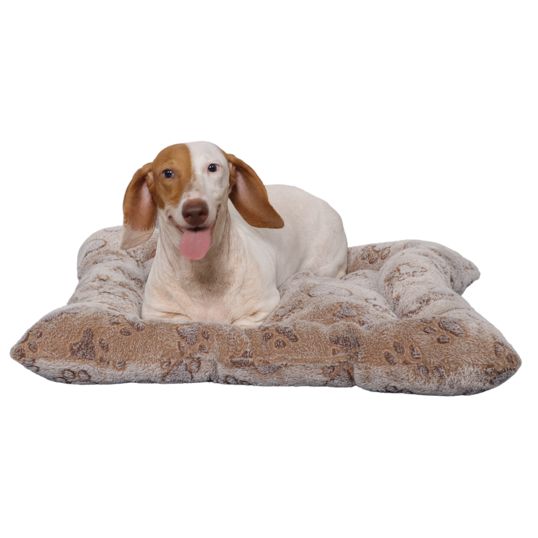 Carter Dog Comfort Mat Mr. Chuck Pet Store